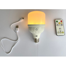 Light bulb LED wireless USB plug-in -...