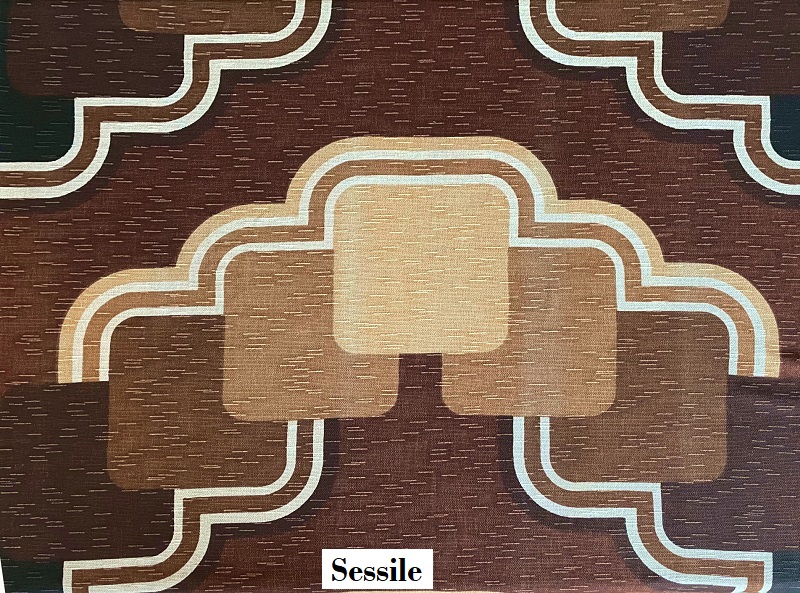 tissu vintage sessile